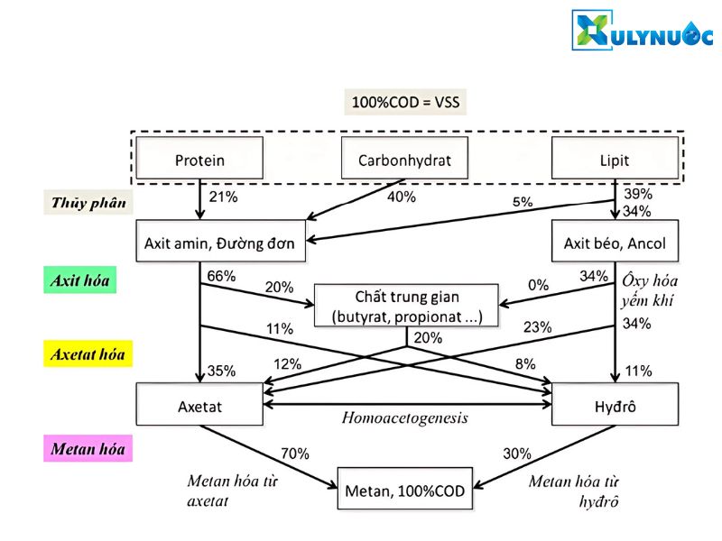 Phương pháp xử lý nước thải sinh học kỵ khí