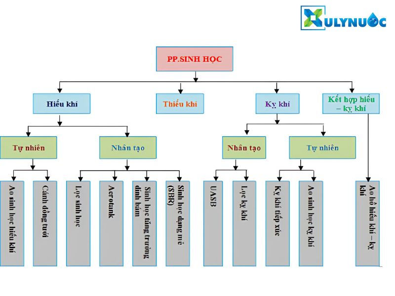 Phương pháp xử lý nước thải sinh học được ứng dụng nhiều nhất hiện nay