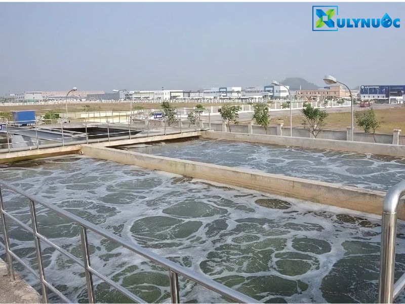 Các yếu tố ảnh hưởng đến hoạt động của vi sinh xử lý nước thải