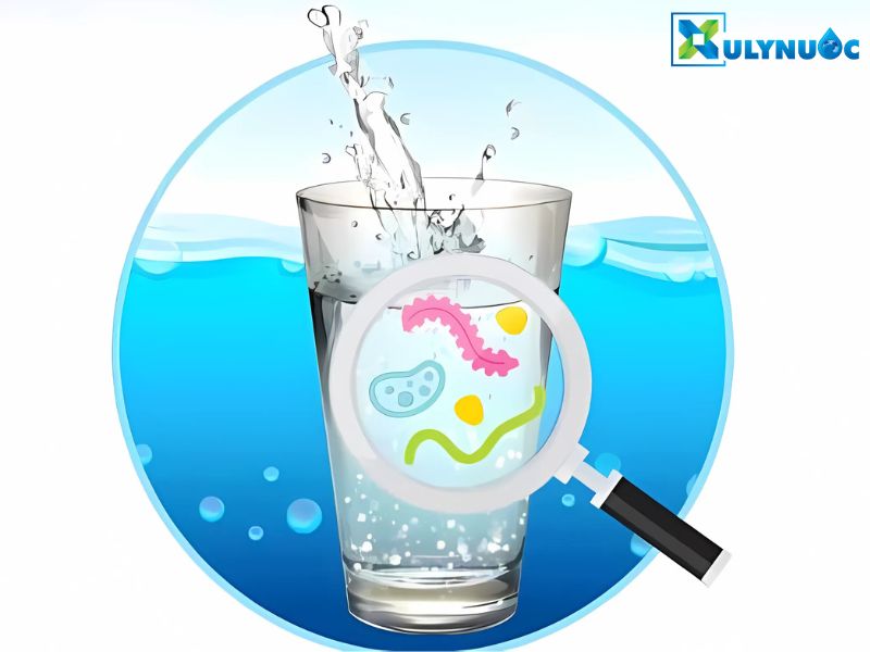 Nước máy gồm những gì