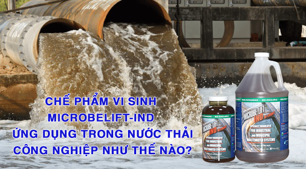 Vi sinh vật xử lý nước thải Microbe Lift IND